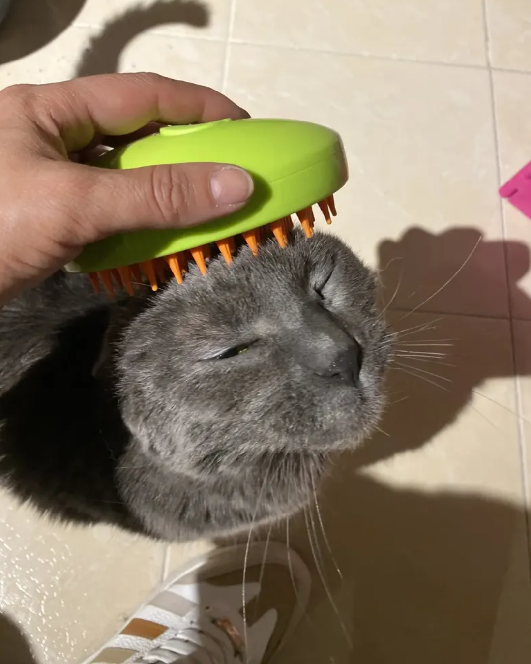 Cepillo de Vapor 3 en 1 para Mascotas